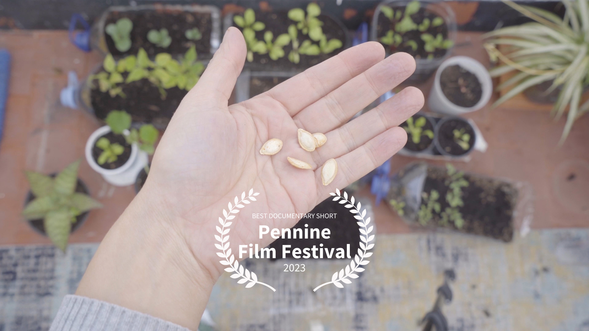 Como filmar a las flores frame con laurel de Pennine film festival