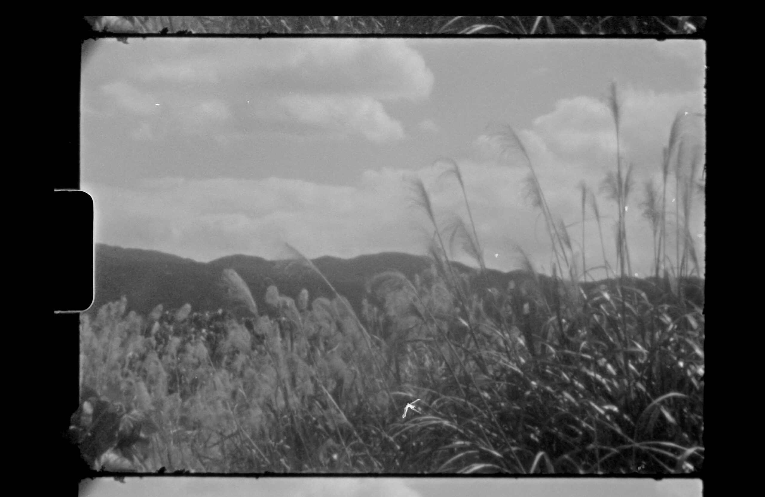 Super 8 frame Black and white natural landscape with mountains at the horizon