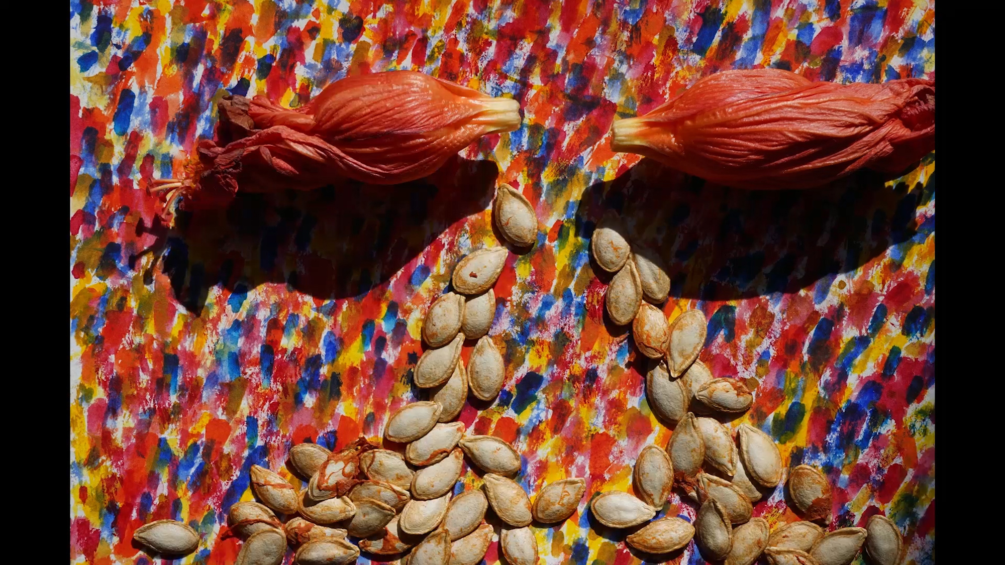 Como filmar a las flores still