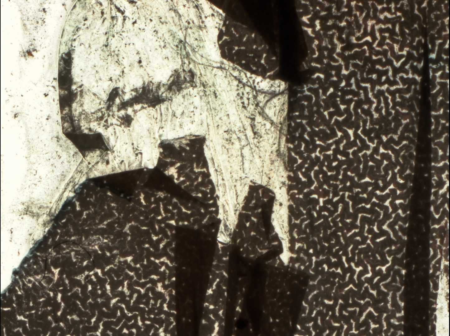 Macro detail: a large tear at the left exposes the transparent film support against a dark brown emulsion grain.
